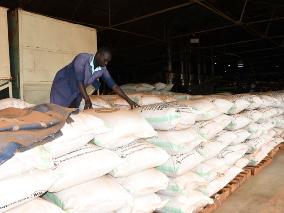 Farmers push for reforms to boost tea production